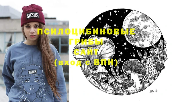 ешки Михайлов