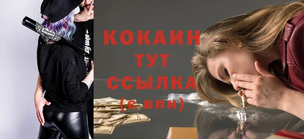 гидра Медвежьегорск