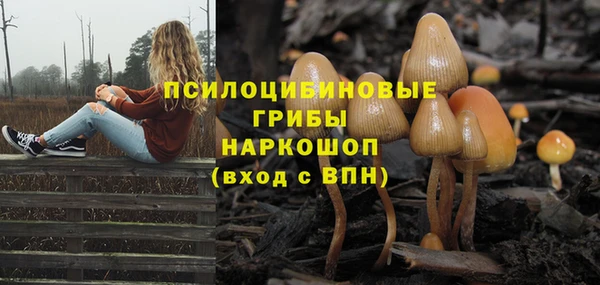 круглые Михайловск