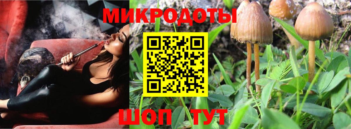 Псилоцибиновые грибы Magic Shrooms Ковров