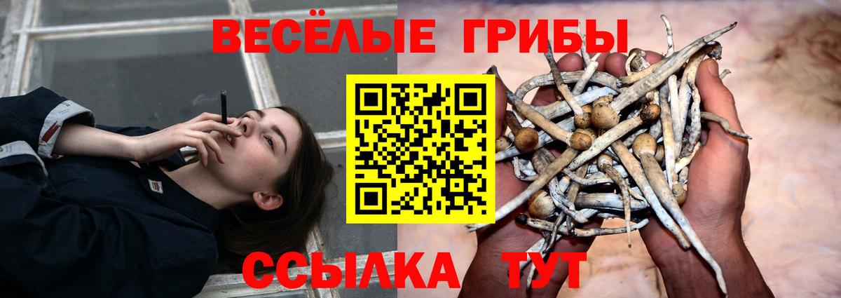 Ковров  Псилоцибиновые грибы ЛСД  Вход с VPN  Псилоцибиновые грибы GOLDEN TEACHER 